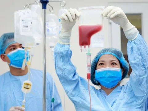 Ghép tế bào gốc đồng loại có thể điều trị khỏi bệnh suy tủy xương