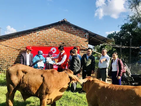 Bình Định: Hỗ trợ sinh kế “An toàn cho ngư dân nghèo, khó khăn”