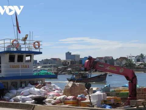 Hối hả mang xuân ra đảo Lý Sơn