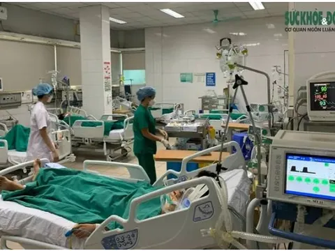 Đã có hơn 190.000 ca mắc, 72 ca tử vong do sốt xuất huyết, chuyên gia lưu ý thời điểm nguy hiểm của bệnh