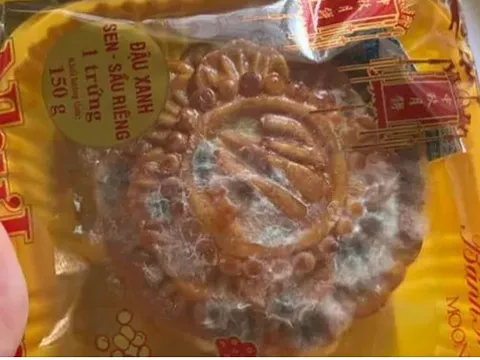 Vì sao bánh trung thu còn hạn sử dụng nhưng vẫn bị mốc?