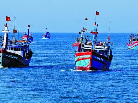 Xử nghiêm việc khai thác hải sản trái phép, tuyệt đối không để EC rút “thẻ đỏ”