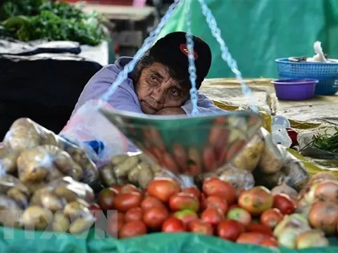 Hành động khẩn cấp để ứng phó cuộc khủng hoảng lương thực toàn cầu