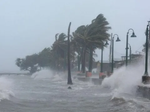 Từ sáng mai (27/9), vùng biển Quảng Bình - Ninh Thuận có gió mạnh cấp 8-9, sau tăng lên cấp 10-11