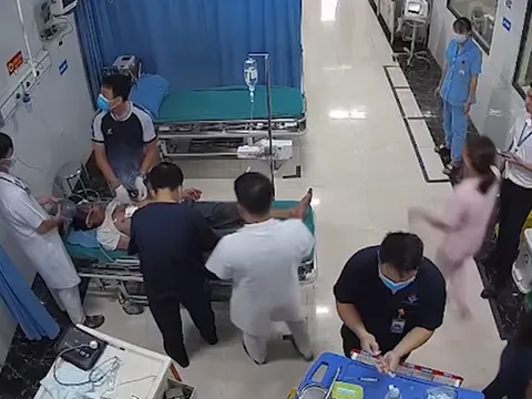 Sau khi ong đốt 15 phút, người đàn ông bị ngừng tim nguy kịch