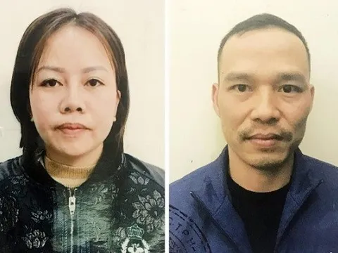Hà Nội: Triệt phá đường dây mang thai hộ với giá hơn nửa tỷ đồng