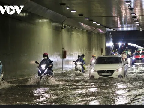 Cấm phương tiện qua cầu, hầm chui khi bão số 4 đổ bộ vào Đà Nẵng