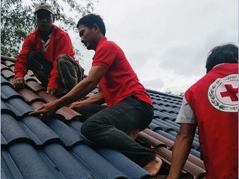 Chùm ảnh: Hội Chữ thập đỏ Bình Định ra quân giúp người dân khắc phục hậu quả sau bão số 4