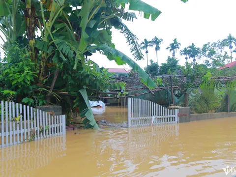 Rốn lũ Thanh Chương, nơi hàng trăm nhà dân vẫn bị nước bủa vây