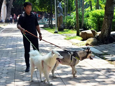 40 người tử vong, Bộ Y tế cảnh báo nguy cơ bùng phát bệnh dại