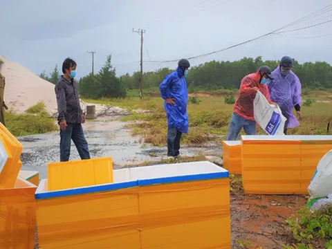 Việt Nam và Trung Quốc điều tra vụ 7 thi thể dạt vào biển Phú Quốc