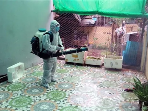 Đồng Tháp ghi nhận 12 trường hợp tử vong vì sốt xuất huyết