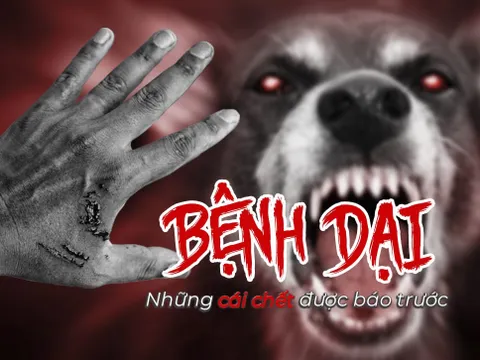 Cái chết của cô gái trẻ 20 tuổi và lời cảnh tỉnh về bệnh dại