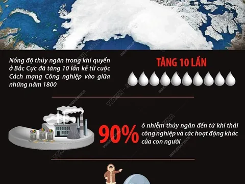 [Infographics] Báo động tình trạng ô nhiễm thủy ngân tại Bắc Cực