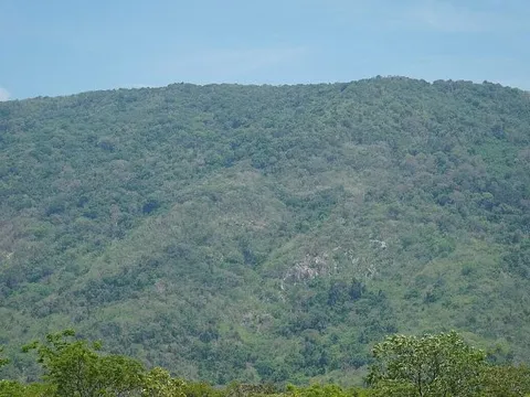 Cảnh sát, kiểm lâm trắng đêm tìm kiếm nữ du khách mất tích trên núi Tà Cú