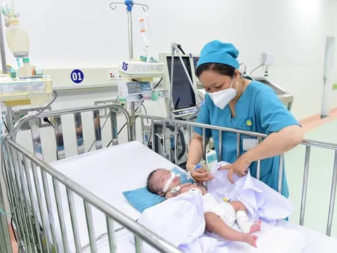 TP.HCM: Một tuần ghi nhận gần 2.000 ca sốt xuất huyết, 3 ca tử vong