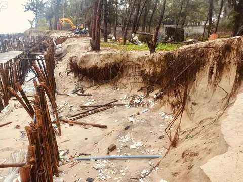 Sóng đánh sập dãy nhà dân, 'ngoạm' trơ gốc phi lao ven biển Hội An