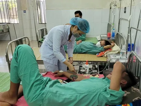 Quảng Nam ghi nhận ca tử vong do sốt xuất huyết đầu tiên