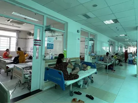 Bộ Y tế cảnh báo, đỉnh dịch sốt xuất huyết có thể vào tháng 11 và 12