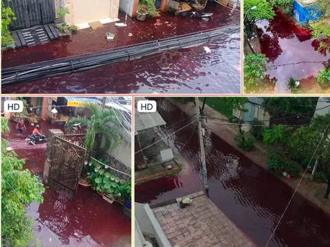 Xác định nguyên nhân gây ra dòng nước màu đỏ tràn lên đường ở TP.HCM