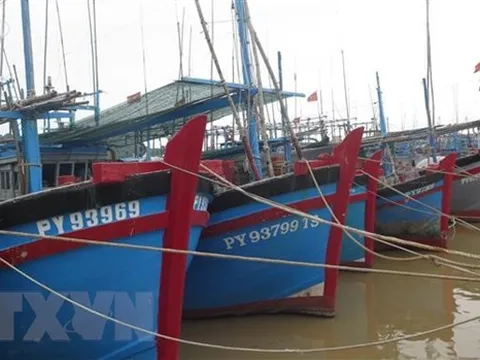 Các tỉnh Quảng Ninh đến Bình Định chủ động ứng phó gió mạnh trên biển
