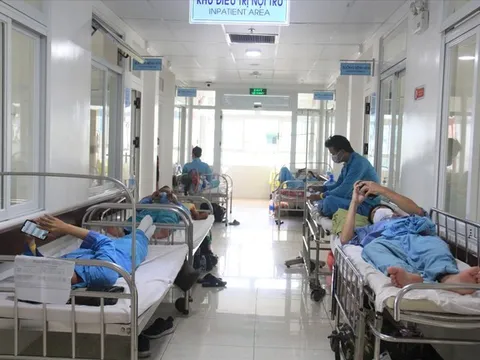 Dịch sốt xuất huyết đang bùng phát mạnh, khi nào bệnh nhân cần nhập viện?