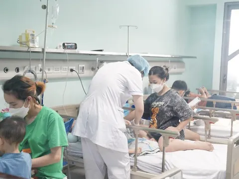 Toàn cảnh những dịch bệnh nóng nhất tại Hà Nội