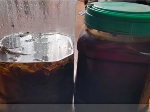 Người đàn ông tử vong sau khi uống rượu thuốc tự ngâm