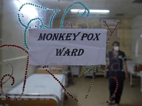 Bệnh nhân đậu mùa khỉ có thể truyền virus trước khi có triệu chứng