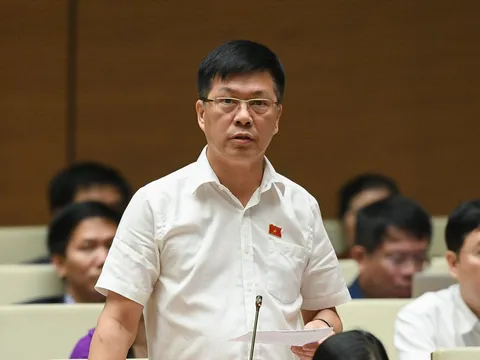 Lo ngại "chảy máu chất xám" nhân tài công nghệ thông tin