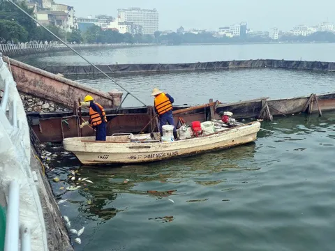 Bí thư, Chủ tịch Hà Nội yêu cầu khắc phục ngay tình trạng cá chết ở hồ Tây