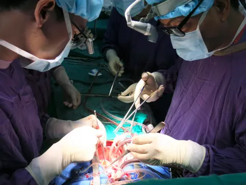 Hiến tạng cứu người: Việt Nam ghép tạng cho hơn 6.550 trường hợp, 50.000 người đăng ký hiến tạng