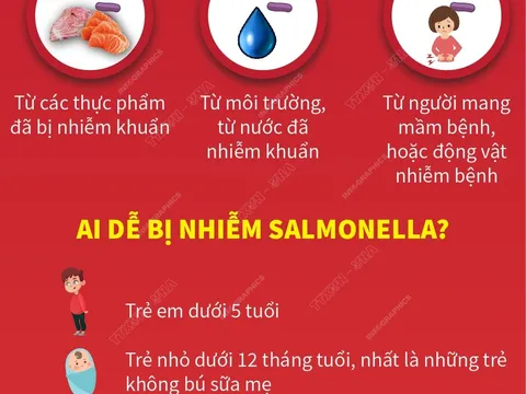 Những điều cần biết về vi khuẩn Salmonella