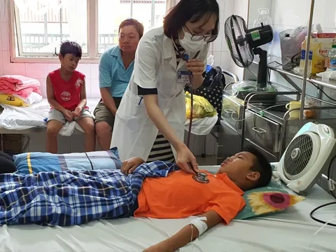 Bệnh nhân sốt xuất huyết nhập viện tăng cao ở Thừa Thiên Huế