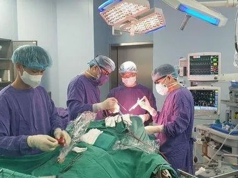 Cảnh báo biến chứng xuất huyết não khi mắc sốt xuất huyết