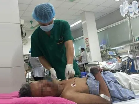 Cảnh giác với bệnh liên cầu khuẩn lợn