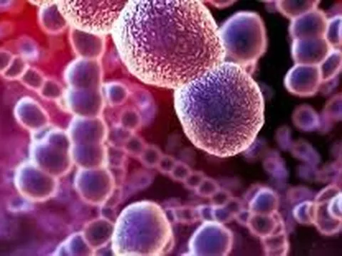 Anh cảnh báo về tình trạng nhiễm liên cầu khuẩn khiến 6 trẻ em tử vong