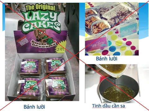 Cảnh báo về ma túy mới, núp bóng dưới dạng thực phẩm mang tên "bánh lười"