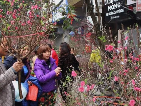 Miền Bắc có thể rét đậm trong dịp Tết Nguyên đán Quý Mão