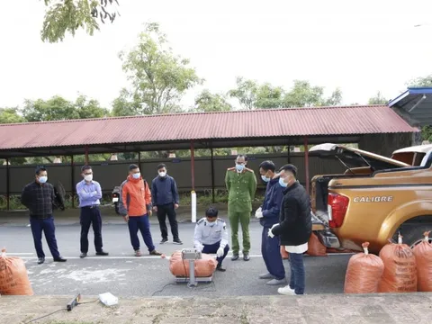 Bắt giữ đối tượng vận chuyển hơn 1 tấn "chất độc chết người" xyanua