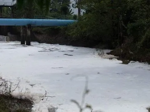 Bà Rịa - Vũng Tàu: Lộ diện nguyên nhân xuất hiện bọt trắng tại sống Dinh