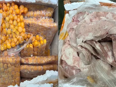 Phát hiện 1,8 tấn nầm lợn, trứng non có dấu hiệu bị phân hủy đang đi tiêu thụ