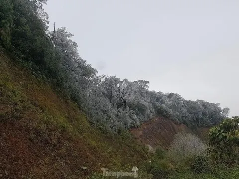 Ngắm băng tuyết phủ trắng đỉnh núi trong giá lạnh âm 3 độ C ở Nghệ An