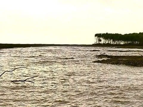 Khẩn trương tìm kiếm cán bộ Viện Khoa học thủy lợi Miền Nam bị rơi xuống biển khi đi làm nhiệm vụ