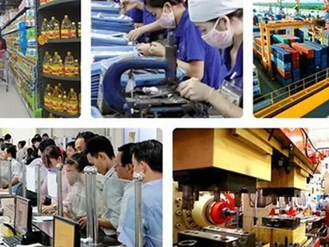 Những chính sách phục hồi giúp thị trường lao động vượt qua các 'cú sốc'