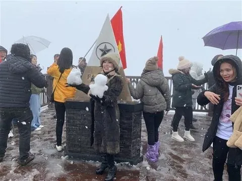 Mưa tuyết thu hút du khách đến với Khu Du lịch Quốc gia Sa Pa