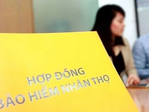 4 luật có hiệu lực thi hành từ 1/1/2023