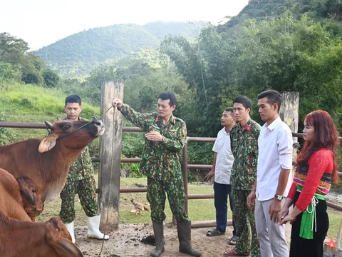 Nghĩa tình quân dân trên 'cổng trời' Mường Lát