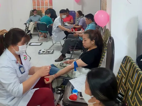 Huy động 289 đơn vị máu trong Ngày lễ Tình nhân