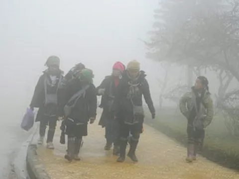 Dự báo thời tiết ngày 15/2: Vùng núi Bắc bộ trời rét đậm, nhiệt độ thấp nhất dưới 8 độ C